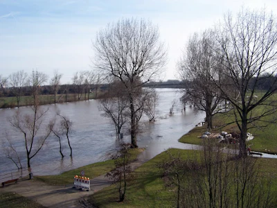 Hochwasser_Frankfurt_Sindlingen_1.66fbf3ef69c69