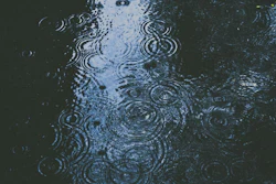 alex_dukhanov_ZxZQk7777R4_unsplash.673f752e910ba