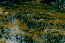 water1.673cb17a037f3