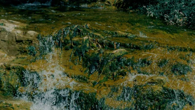 water1.673cb17a037f3