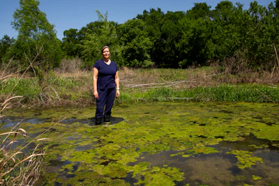 Stephanie Morris has spent the last 10 years trudging up and down this stretch of the South Fork San Gabriel River, documenting the ecological damage done by the discharge of treated wastewater from the city of Liberty Hill. Credit: Dylan Baddour/Inside Climate News