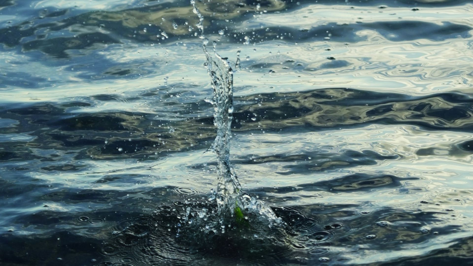 Untitled design (14)