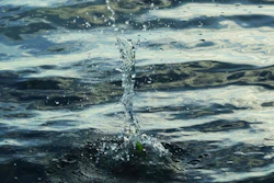 Untitled design (14)