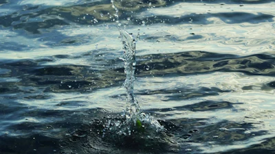 Untitled design (14)