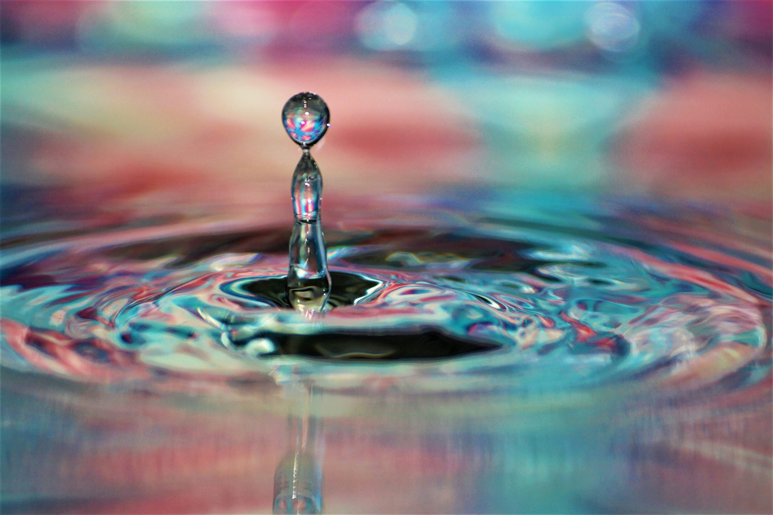jess-bate-SxJl8K_r9OE-unsplash