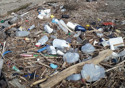 GL plastic-on-beach &ndash; cred Alliance for the Great Lakes