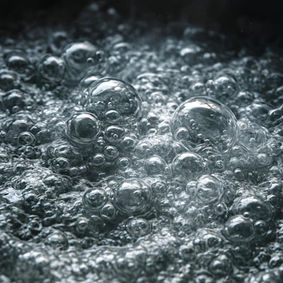 boil water