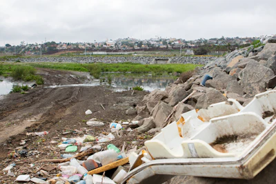 Tijuana River pollution. Photo: Adriana Heldiz