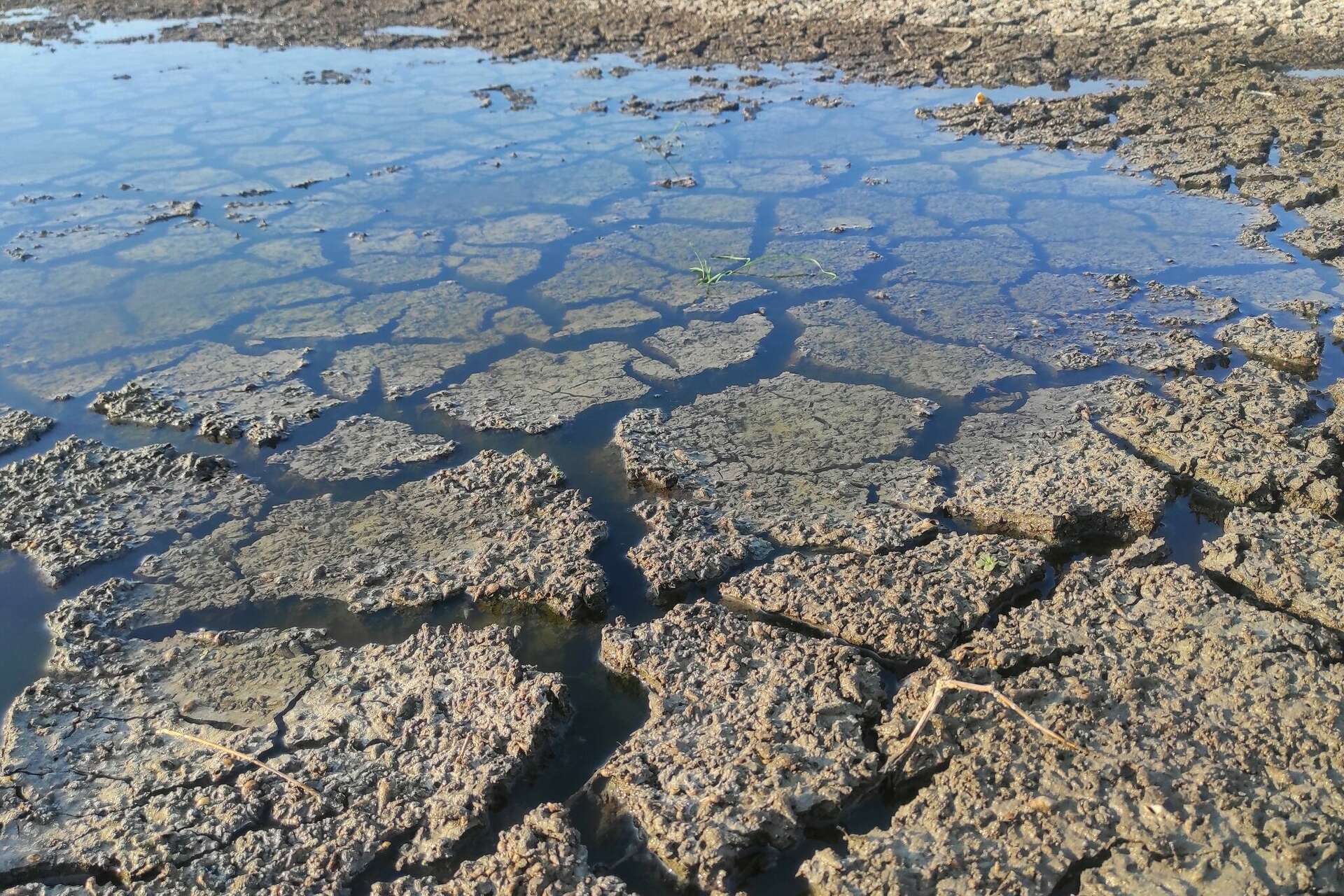 Lake Corpus Christi drought &ndash; Credit Getty Images