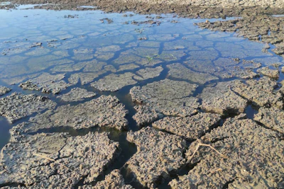 Corpus Christi’s water future is being built on short-term measures and multi-year infrastructure development, officials said.