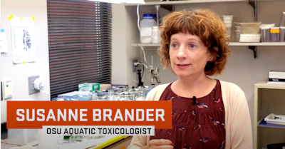 “This [EPR program] will be a climb out of this plastic pit we’ve dug ourselves into,” said Susanne Brander, an environmental toxicologist at Oregon State University.