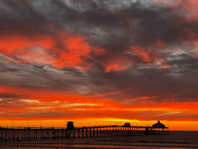 Ib Pier Cred Tom Csanadi And Marvel Harrison