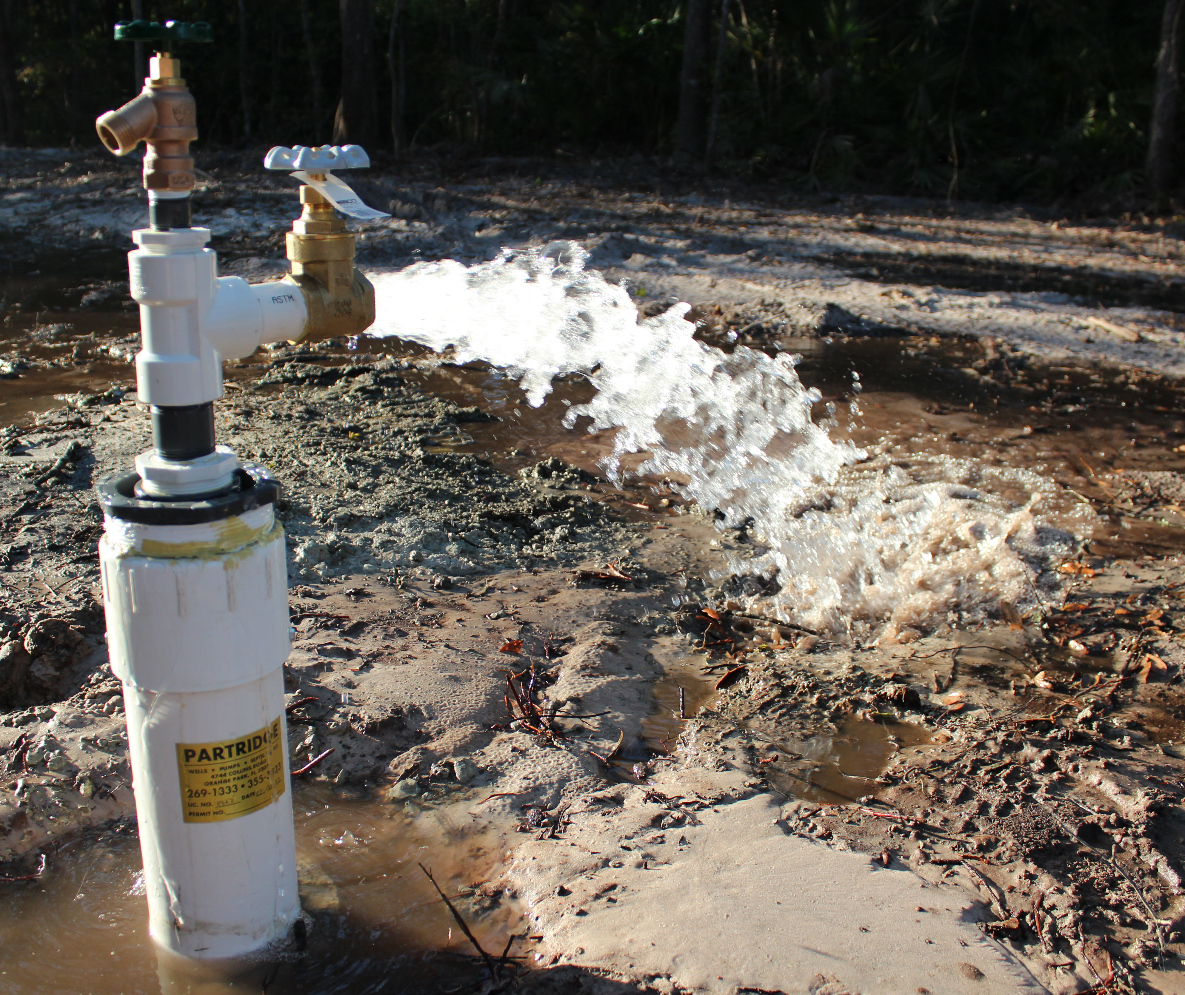 Potable reuse will help Plant City, Florida, from overtaxing its aquifer, said officials.